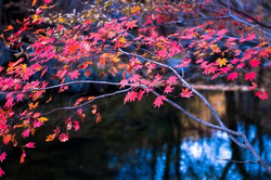 91破解版更新历史